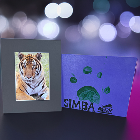 Simba Tiger photo and paw print auction